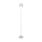 Eglo Lampada da terra Mannera-L Aluminium Grigio 4W 440lm - 824-830-840 CCT | IP54 - A 3 Livelli Dimmerabile